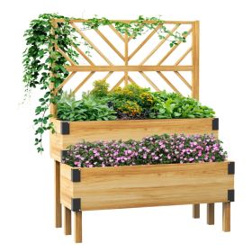 2 Tier Trellis Planter, Wooden Raised Garden Bed, Natural